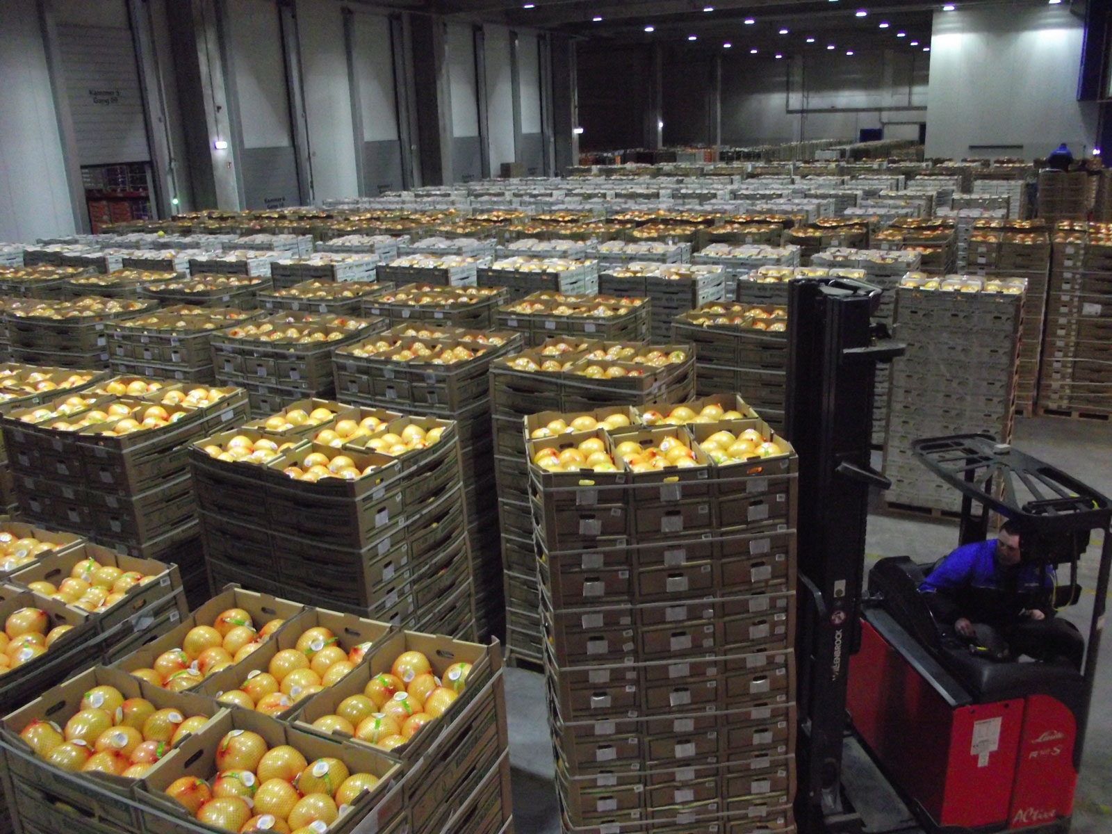 Konventionelle Obstschiffe aus Argentinien